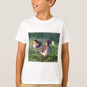Camiseta Patinho