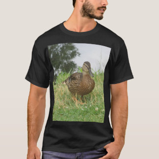 Camiseta Pato Mallard Bird Fotografia feminina