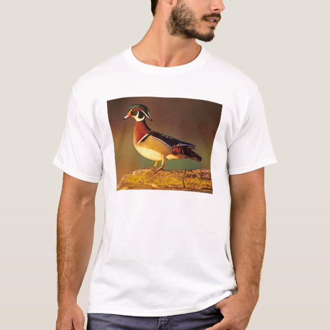 Camiseta Pato-mandarim macho, Illinois (Frente)