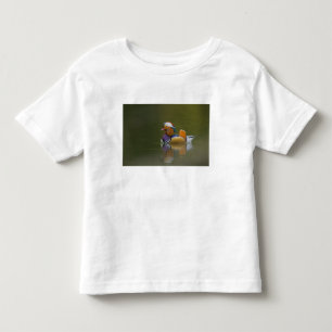 Camiseta Pato mandarim selvagem Aix galericulata) no escuro