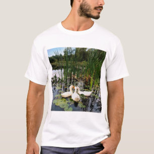 Camiseta Patos brancos, almofadas de lírios, cattails, cost