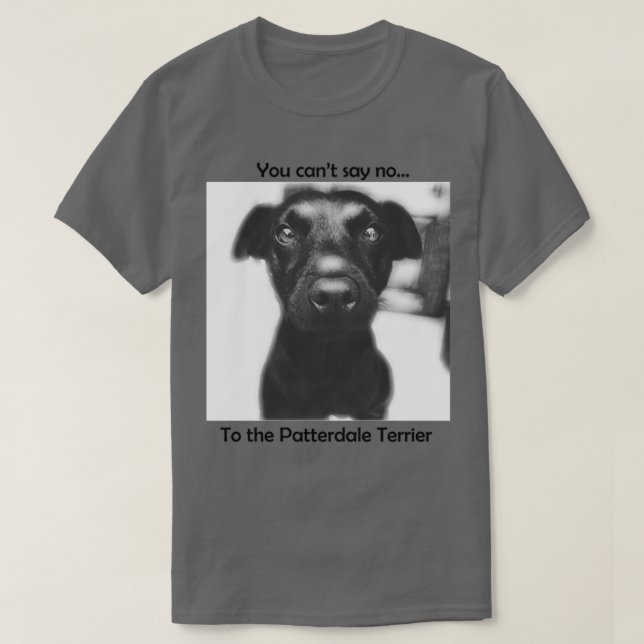 Camiseta Patterdale Terrier Cant diz (Frente do Design)