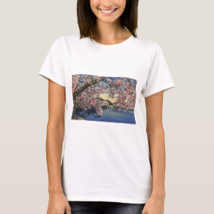 Camiseta PAU43 Basin.tif maré