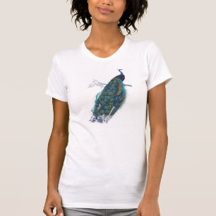 Camiseta Pavão azul com penas de cauda lindas