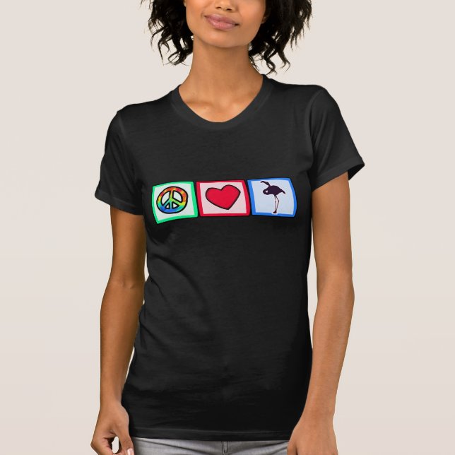 Camiseta Paz, amor, flamingos (Frente)