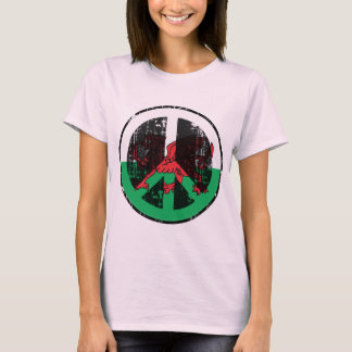 Camiseta Paz em Galês
