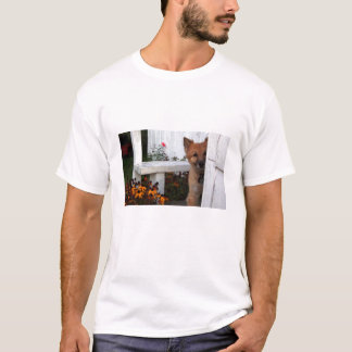 Camiseta peekaboo T