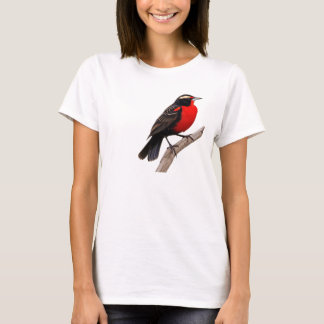 Camiseta peito-vermelho-grande (Sturnella defilippii),