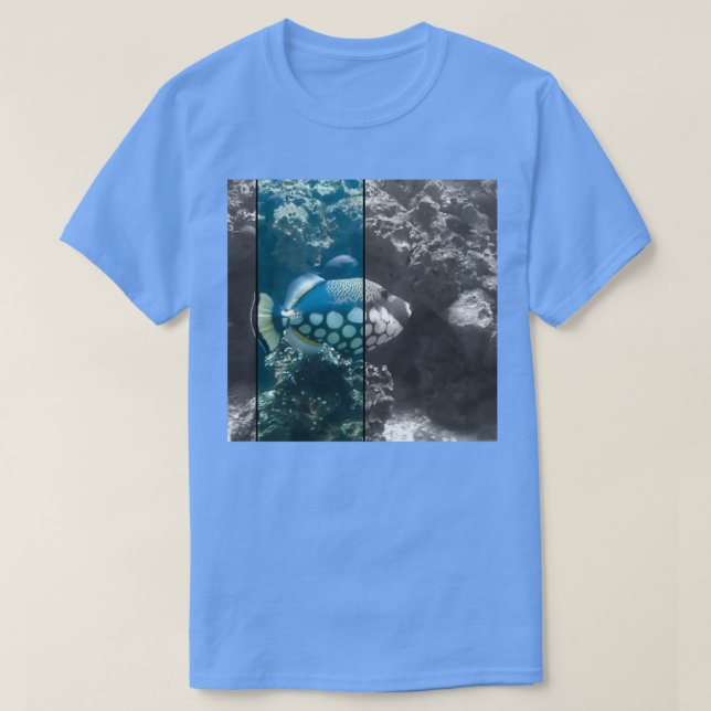 Camiseta Peixe 24 (Frente do Design)