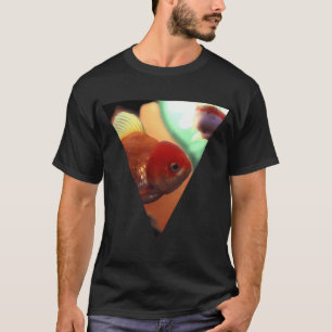 Camiseta peixe dourado de água doce