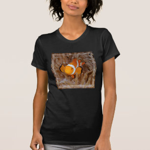 Camiseta Peixe-palhaço - Molokai, North Shore Cliff