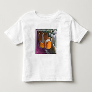 Camiseta Peixe-palhaço-ocidental