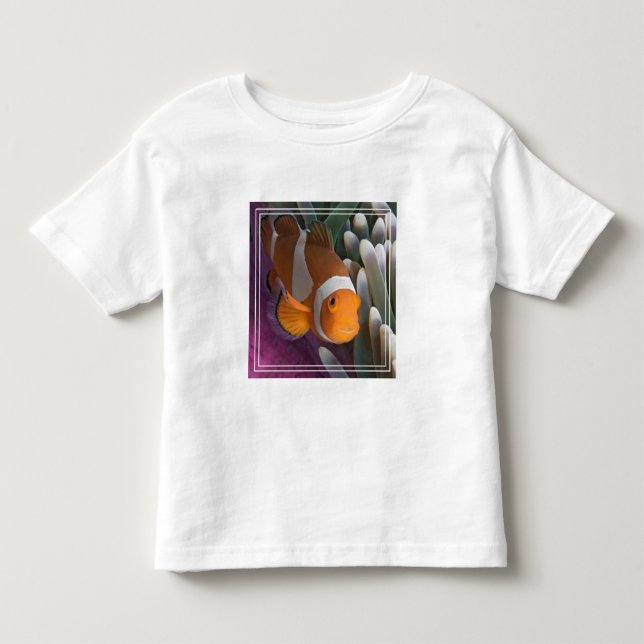 Camiseta Peixe-palhaço-ocidental (Frente)
