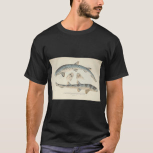 Camiseta Peixe-serra