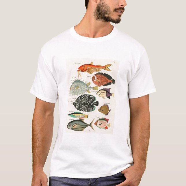Camiseta Peixes (Frente)