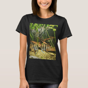 Camiseta Peixes-anjo se beijando em aquário de água doce