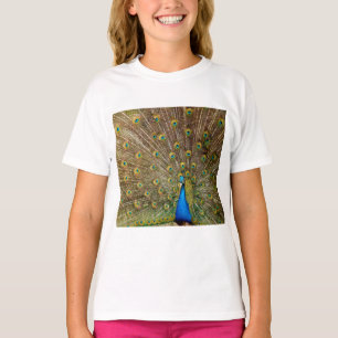 Camiseta Pelas Caudas de Peacock