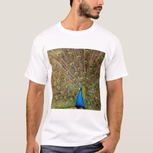 Camiseta Pelas Caudas de Peacock