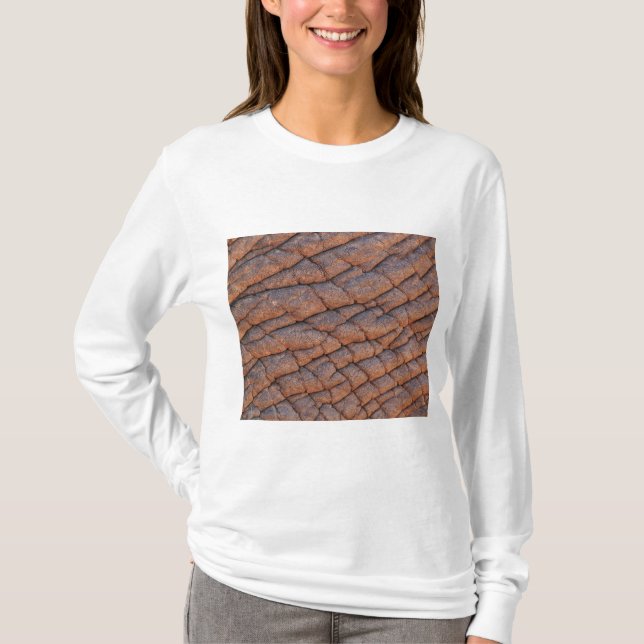 Camiseta Pele Elefante (Frente)