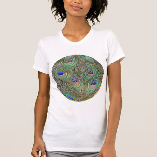 Camiseta pena do pavão