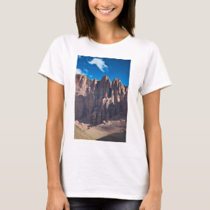 Camiseta Penintentes