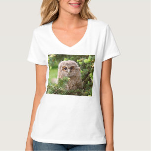 Camiseta Pequena coruja 11