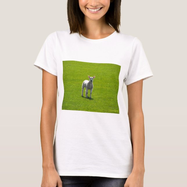 Camiseta Pequena Lambe (Frente)