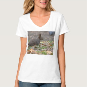 Camiseta Pequeno Esquilo