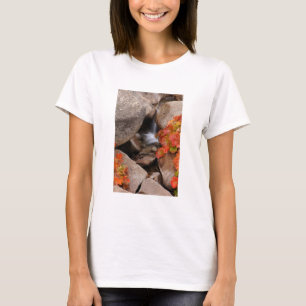 Camiseta Pequeno riacho no outono, Califórnia