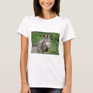 Camiseta Perfil da zebra