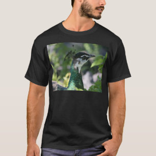 Camiseta Perfil de Peahen