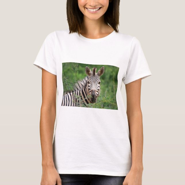Camiseta Perfil Zebra (Frente)