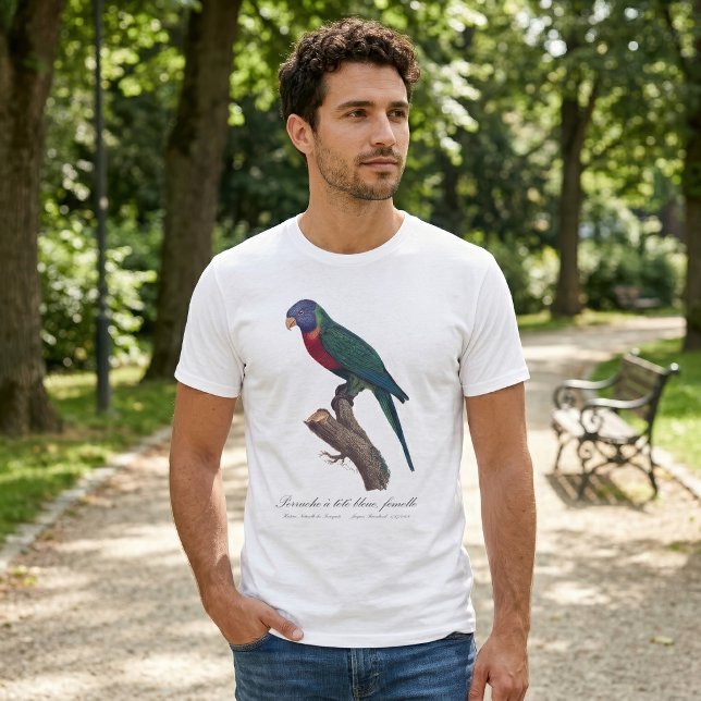 Camiseta Periquito-arco-íris fêmea, Trichoglossus moluccanu (Perruche a tete bleue, femelle / Rainbow lorikeet, female. Men Basic White T-Shirt)