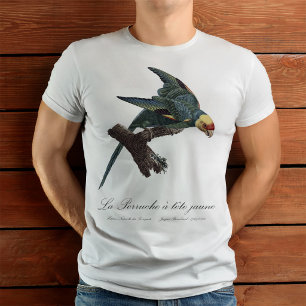 Camiseta Periquito-da-carolina, Conuropsis carolinensis