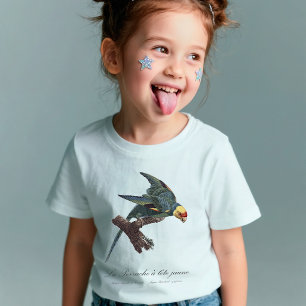 Camiseta Periquito-da-carolina, Conuropsis carolinensis