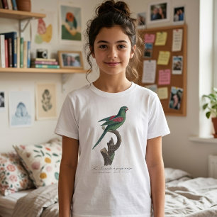 Camiseta Periquito-de-bochecha-laranja, Brotogeris jugulari