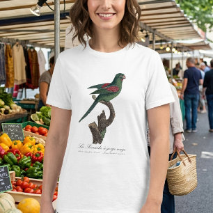 Camiseta Periquito-de-bochecha-laranja, Brotogeris jugulari