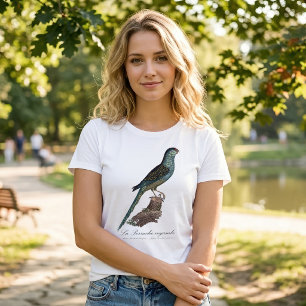 Camiseta Periquito-terrestre ou Periquito-das-turfeiras, Pe