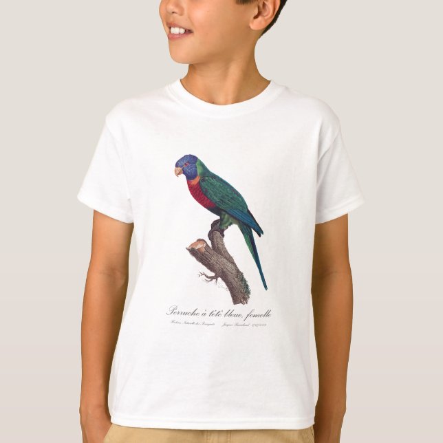 Camiseta Perruche a tete bleue, femelle/Rainbow lorikeet, (Frente)