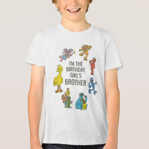 Camiseta Personagens Vintage da Sesame Street Tri-Blen de A