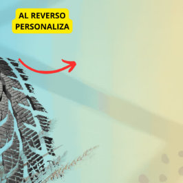 Camiseta Personalice Facil Paris Roubaix Bikes