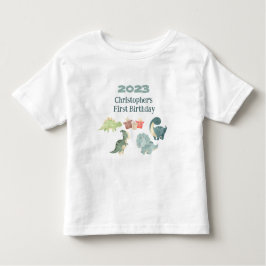 Camiseta Personalizar o Nome Ano Primeiro Aniversário, Cute