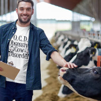 Perturbação Obsessiva Da Vaca