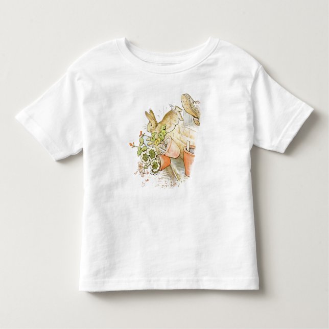 Camiseta Peter Rabbit (Frente)