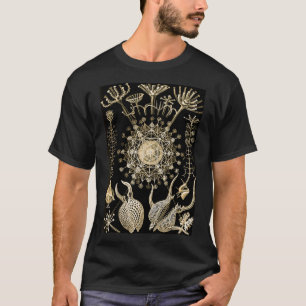 Camiseta Phaeodaria 61 Dourado Ernst Haeckel