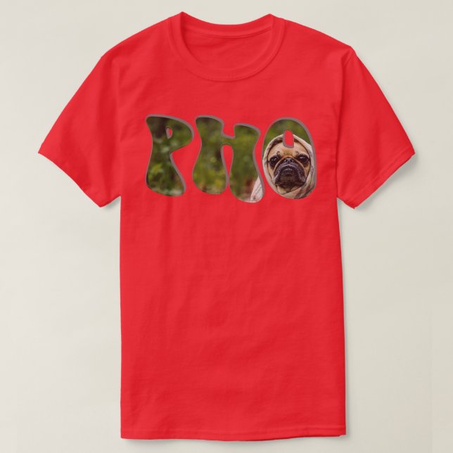 CAMISETA PHO (Frente do Design)