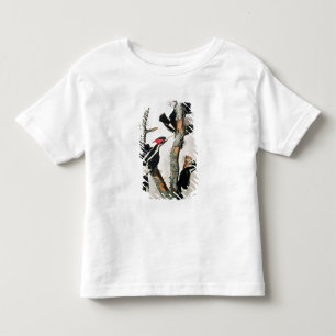 Camiseta pica-pau Marfim-faturado, 'dos pássaros de Americ