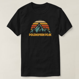 Camiseta Pico Polemonium Califórnia Turquesa Retro
