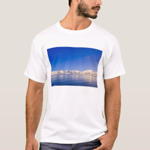Camiseta Picos nevados Woodfjord Svalbard