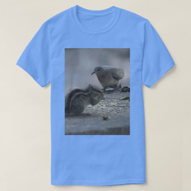 Camiseta pigeon and Squirrel bonding 2 (Frente do Design)
